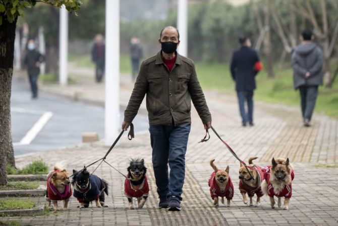 Un hombre con una máscara facial camina con sus perros por una calle en Jiujiang, en la provincia central china de Jiangxi, el 7 de marzo de 2020.