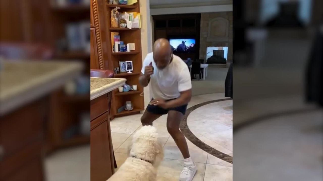 CNNE 798921 - mike tyson "entrena" con su perro