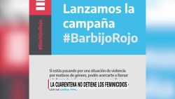 CNNE 806697 - ong- 15 feminicidios en 14 dias de cuarentena en argentina