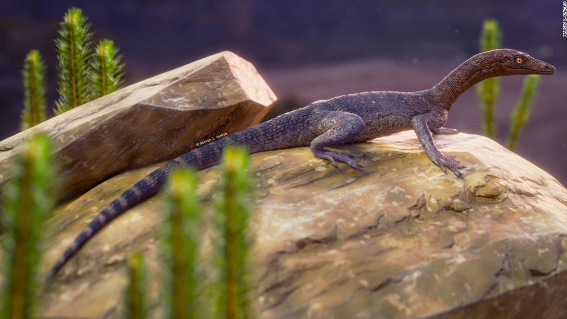 CNNE 806772 - nuevo fosil que lleva el nombre del personaje de 'el senor de los anillos' esta relacionado con misteriosos reptiles