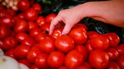 MEXICO CITY, MEXICO - MAY 09: A woman picks a tomato at a market on Matías Romero street on May 9, 2019 in Mexico City, Mexico. On May 7 the United States imposed a 17.5% tariff on tomatoes of Mexican origin after a breakdown of a 22 year agreement.