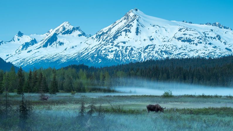 Alaska — Alaska y el Ártico se están calentando el doble de rápido que el resto del planeta. Este rápido incremento en la temperatura está derritiendo los glaciares, intensificando las floraciones de algas, matando al salmón y alimentando incendios forestales.
