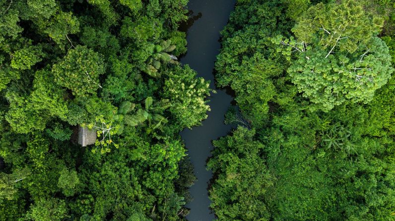 El Amazonas — La selva amazónica es uno de los ecosistemas más importantes del mundo. Sus árboles absorben el exceso de CO2 del aire y lo convierten en el oxígeno que necesitamos para prosperar. Pero la deforestación ha reclamado un área del tamaño de 8,4 millones de campos de fútbol en la última década, y fue devastada por incendios forestales en 2019. Un estudio reciente encontró que la selva tropical podría, para 2050 o antes, comenzar a contribuir al aire con más gases que calientan el planeta de lo que absorbe.