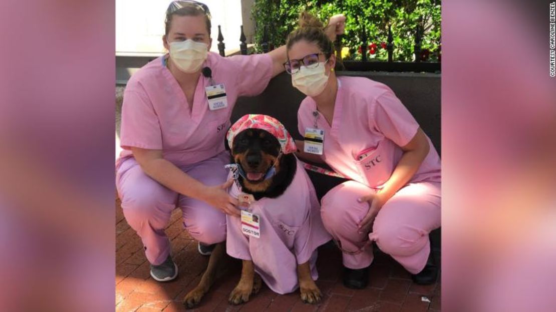 Loki vistiendo su uniforme rosa en el Centro Médico de la Universidad de Maryland.