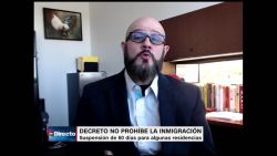 CNNE 816322 - segun trump, decreto suspende la inmigracion- ¿es cierto?