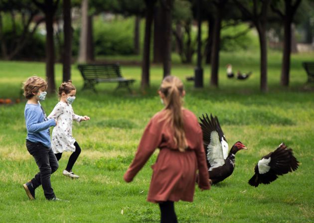 Niños juegan con los patos de un parque de Sevilla.