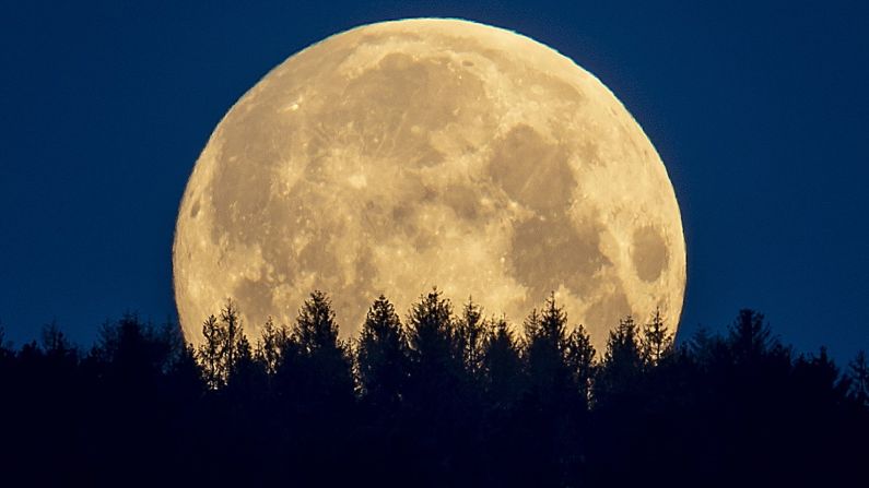 La luna llena se pone detrás de los árboles en Frankfurt, Alemania, el jueves. Michael Probst / AP