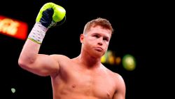 CNNE 826066 - el mensaje del "canelo" alvarez a su aficion