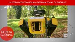 CNNE 826944 - covid-19- perro robot vigila distanciamiento social y mas