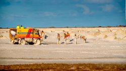 CNNE 828427 - cinco surfistas mueren ahogados en holanda