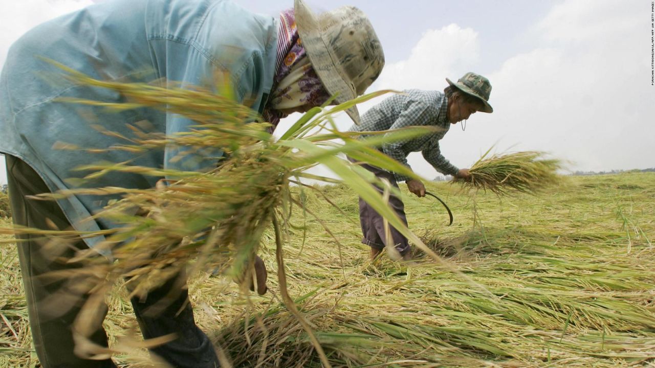 CNNE 829667 - asi es la crisis por falta de alimentos en america latina