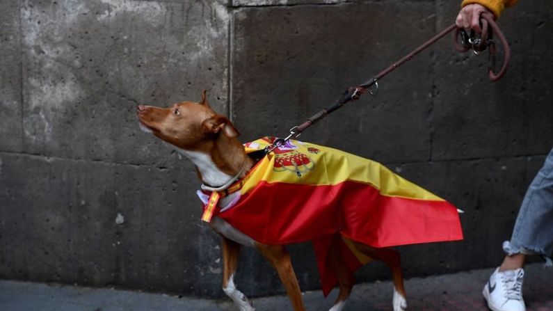 Una mujer sostiene a su perro envuelto con una bandera española durante la protesta en Madrid. GABRIEL BOUYS/AFP via Getty Images