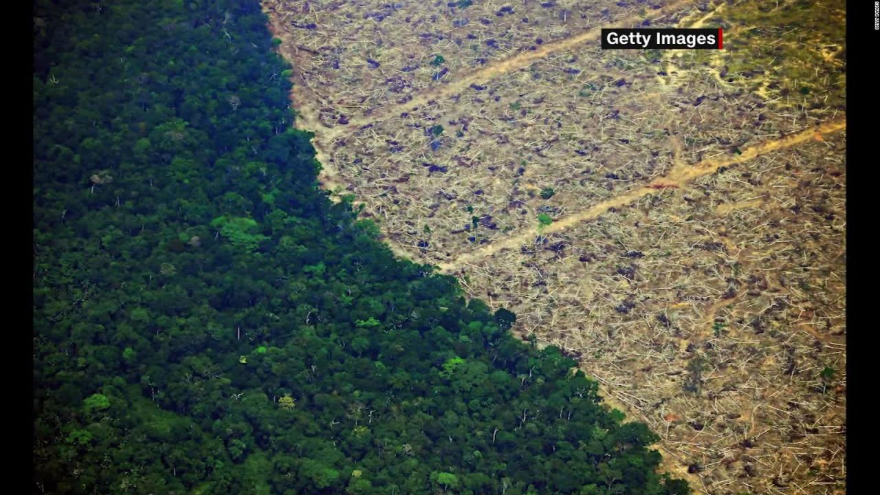 CNNE 830021 - brasil- aumenta deforestacion en la amazonia