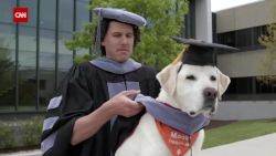 CNNE 832298 - moose, el perro que obtuvo un titulo universitario