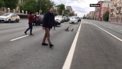 CNNE 833727 - en rusia, unos patos reciben ayuda para cruzar la calle