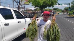 CNNE 835372 - crisis de salud en nicaragua provoca la compra de remedios en las calles