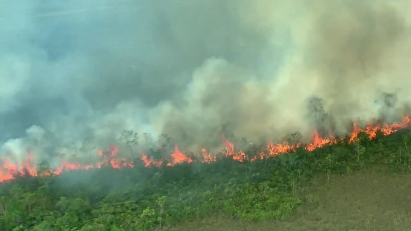 El mundo perdió un área de bosque tropical del tamaño de un campo de fútbol cada 6 segundos en 2019 | cnn