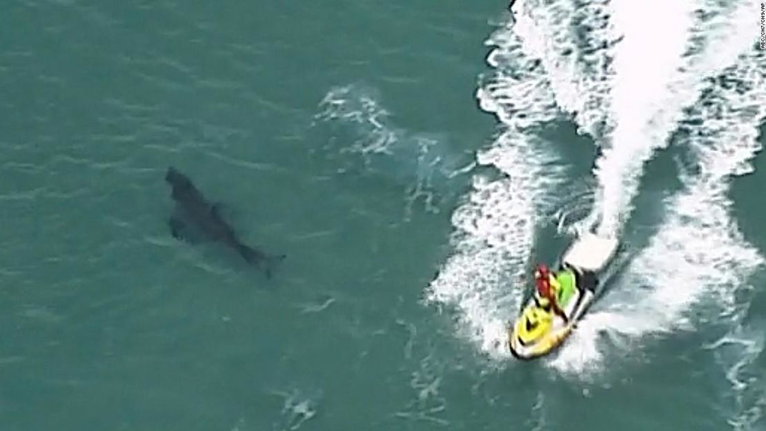 En esta imagen se aprecia un jet ski pasando cerca de un tiburón nadando a lo largo de la costa de Kingscliff, New South Whales, Australia, el domingo 7 de junio de 2020.