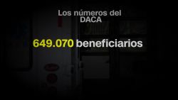 CNNE 849860 - algunas cifras sobre los beneficiarios de daca