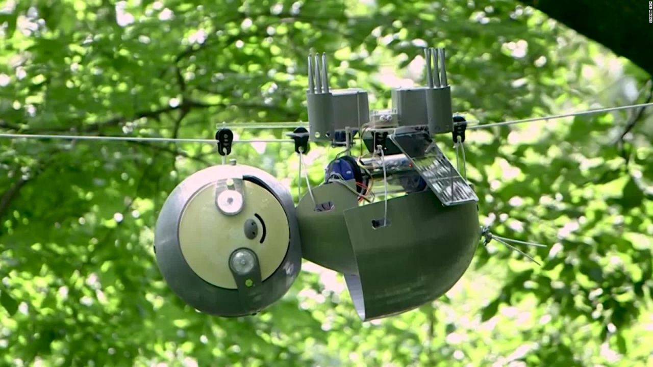 CNNE 856808 - este perezoso robot podria proteger ecosistemas en peligro