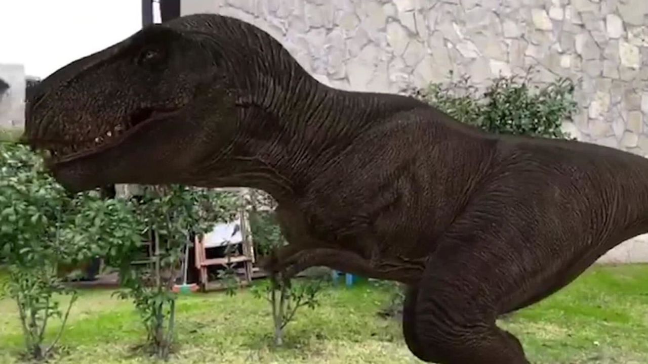 CNNE 857585 - viral- google te permite tener un dinosaurio en tu casa