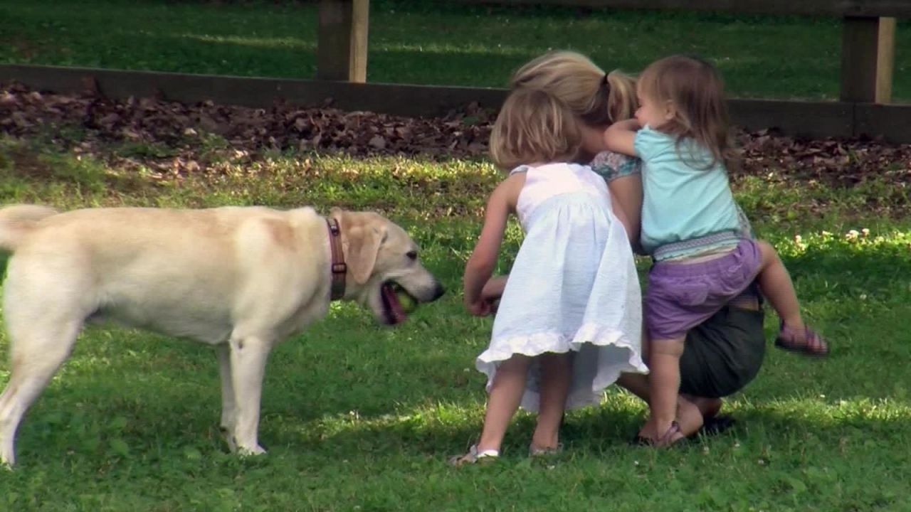 CNNE 859270 - ¿por que es importante la relacion entre ninos y perros?