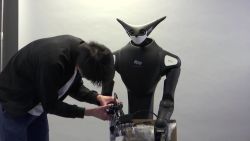 CNNE 863321 - este robot canguro se unira a la fuerza laboral en tokio