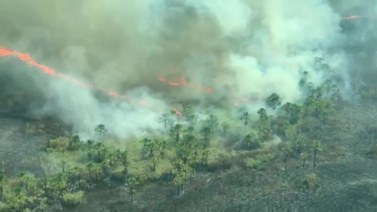 CNNE 864839 - el covid-19 y la deforestacion acabarian con el amazonas