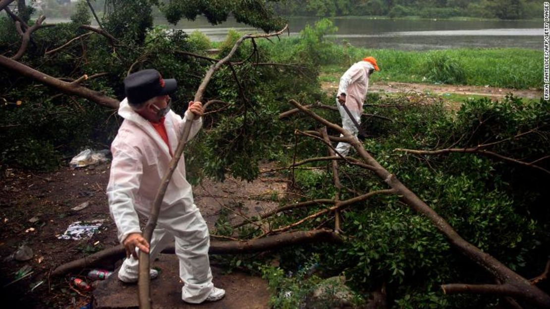 Bomberos y trabajadores de rescate cortan las ramas de un árbol que cayó bajo una fuerte lluvia causada por Isaías en Santo Domingo, República Dominicana, este jueves.