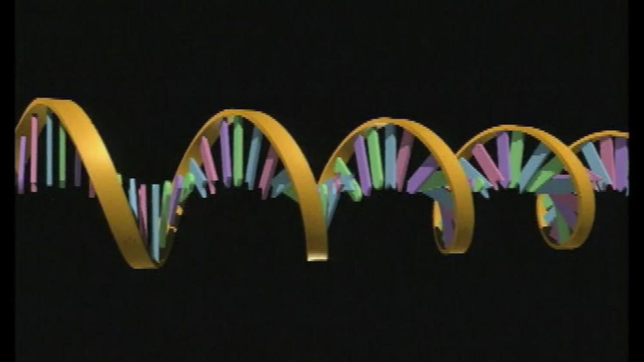 CNNE 869869 - cientificos desarrollan modelo 3d del genoma humano