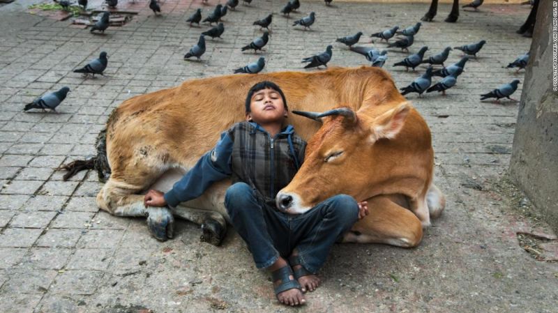 Día mundial de la fotografía 2020: 5 de las mejores series fotográficas del año | cnn