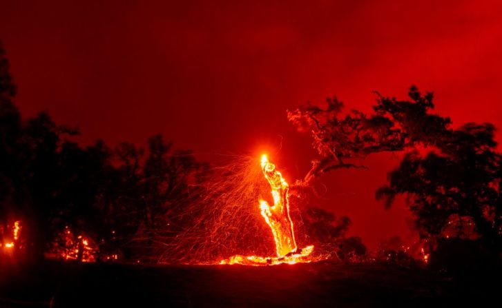 En esta foto de exposición lenta se muestra cómo un árbol se consumió por las llamas de los incendios forestales que azotan a California.