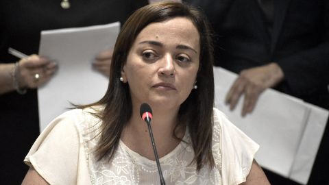 La diputada oficialista Cecilia Moreau