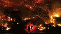 CNNE 878885 - nasa- impactante mapa de los incendios en el mundo