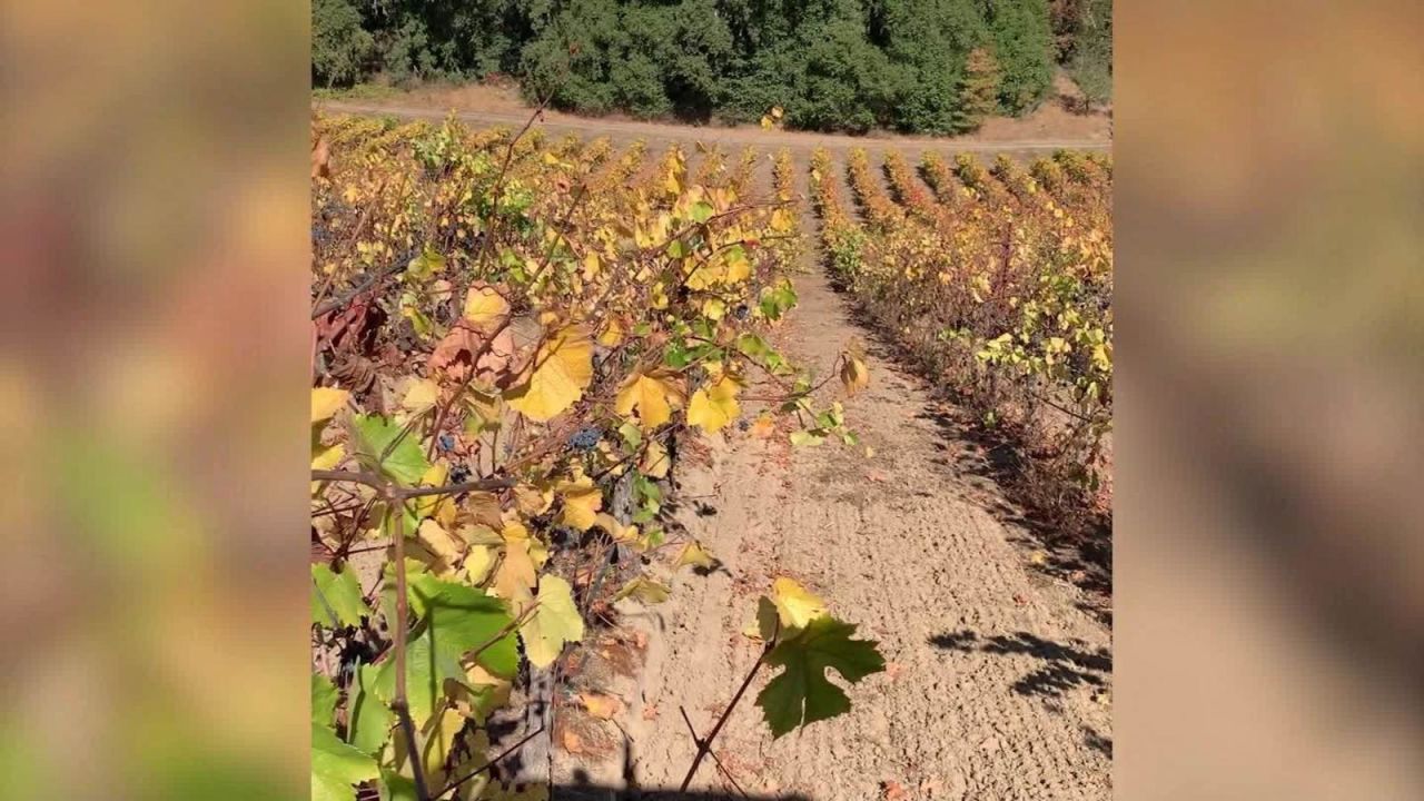 CNNE 880263 - trabajadores del campo intentan sobrevivir a incendios y covid-19