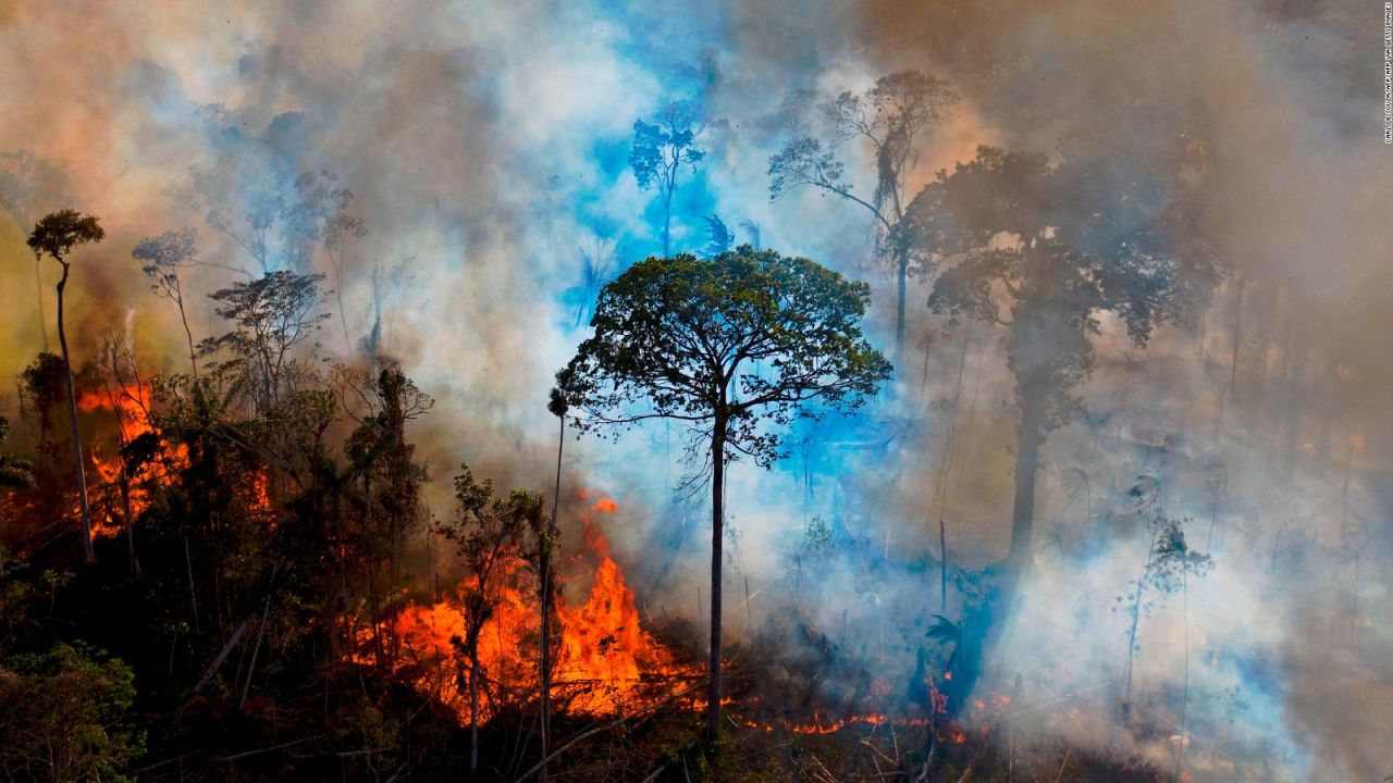 CNNE 880510 - los incendios en el amazonas podrian ser peores este ano