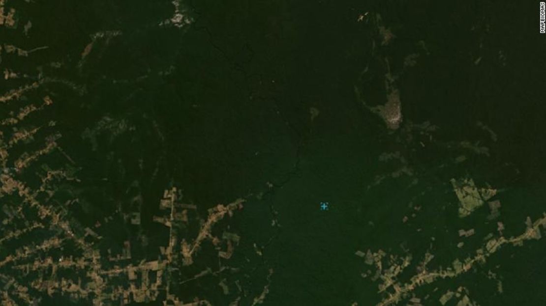 Vista satelital de los bosques en el sur del estado de Amazonas en julio de 2019