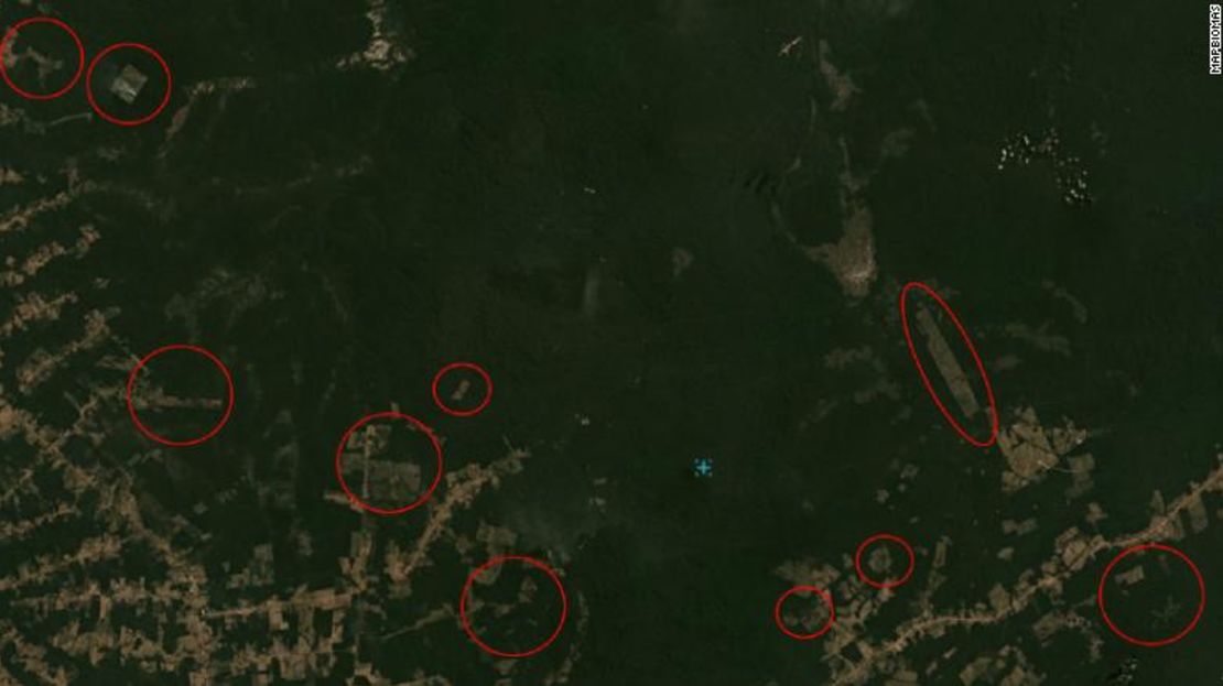 Vista satelital de los bosques en el sur del estado de Amazonas en julio de 2020, que muestra áreas despejadas marcadas en rojo por MapBiomas.