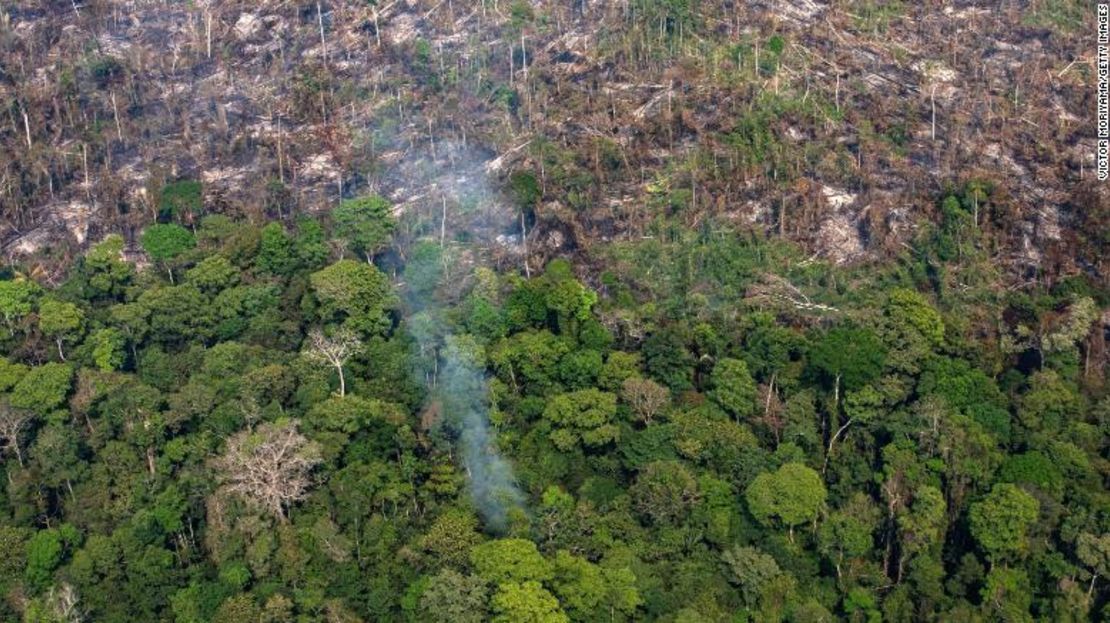 Una zona de la selva amazónica en la región de Candeias do Jamari, cerca de Porto Velho, en el estado de Rondonia, el 25 de agosto de 2019 después de una serie de incendios forestales.