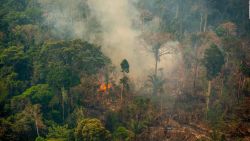 CNNE 893131 - el amazonas, un eje de incendios y manifestaciones