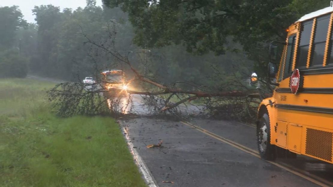 Un árbol caído bloquea un autobús escolar y otros vehículos en el condado de Anderson, Carolina del Sur, después de las lluvias del jueves por la mañana.