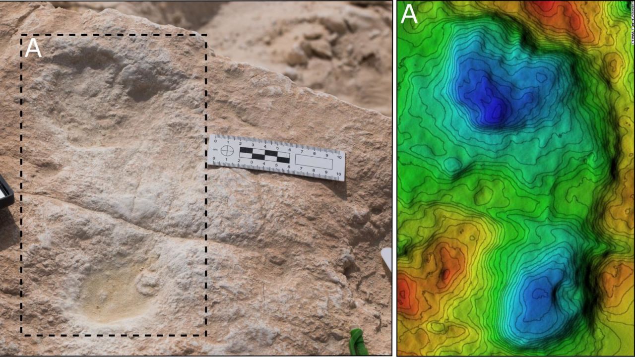 CNNE 897429 - hallan huellas fosilizadas de hace 120-000 anos