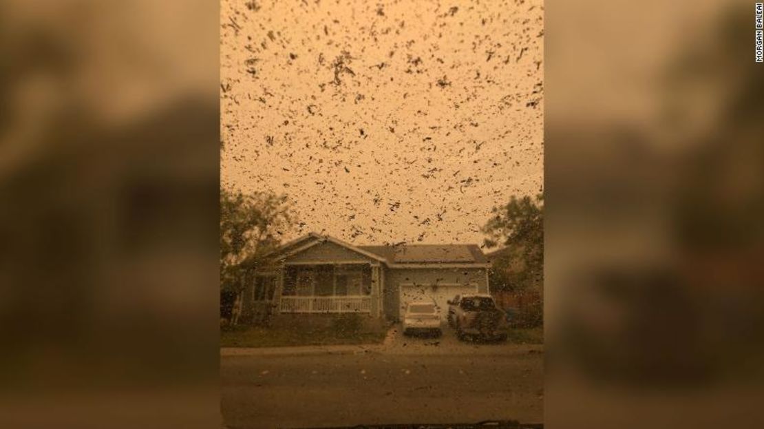 Ceniza cae del cielo el lunes en Santa Rosa.