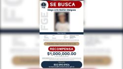 CNNE 900773 - detenido presunto homicida de una joven en michoacan