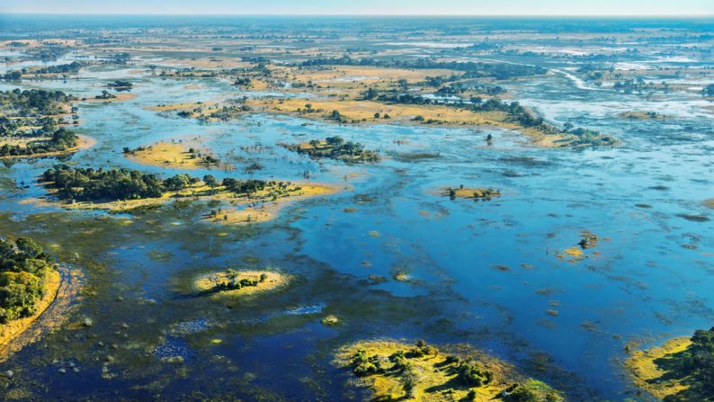 4. Delta del Okavango, Botswana: el Delta del Okavango es una de las Siete Maravillas Naturales de África. Estarás totalmente inmerso en la vida silvestre de Botswana mientras vadeas sus sinuosos ríos.