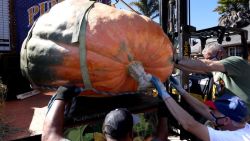 CNNE 906138 - calabaza gigante gana concurso en ee-uu-