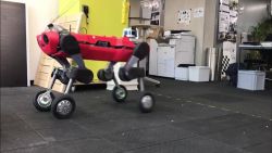 CNNE 908172 - anymal, un "perro" robot con ruedas