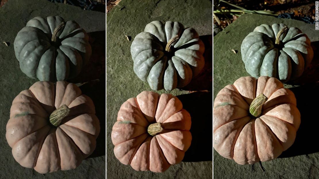 Fotos de calabazas tomadas con un iPhone XR (izquierda), iPhone 12 Mini (centro) y iPhone Pro Max (derecha) durante la noche.