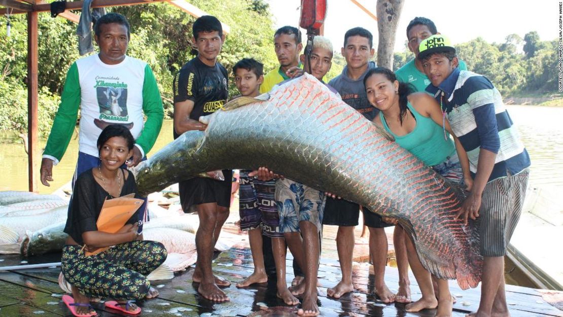 Francisco das Chagas Melo de Araújo, también conocido como Seu Preto (atrás a la izquierda), un líder comunitario del estado de Amazonas, junto a un arapaima capturado de forma sostenible.