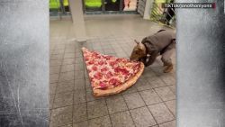 CNNE 919846 - "pizza rat man", la nueva celebridad de nueva york